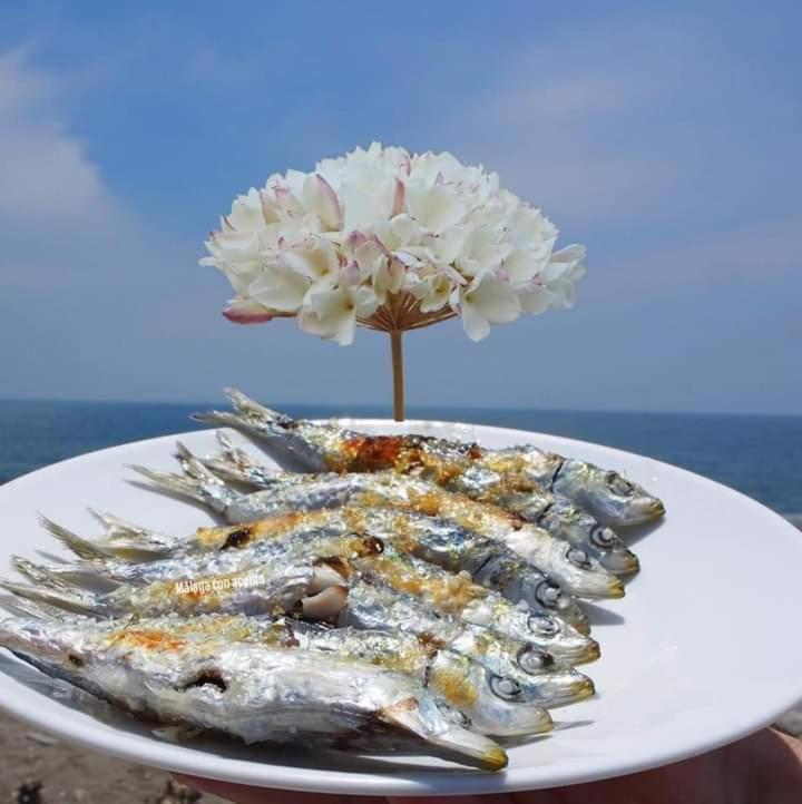 Encantador Bajo En 말라가 외부 사진